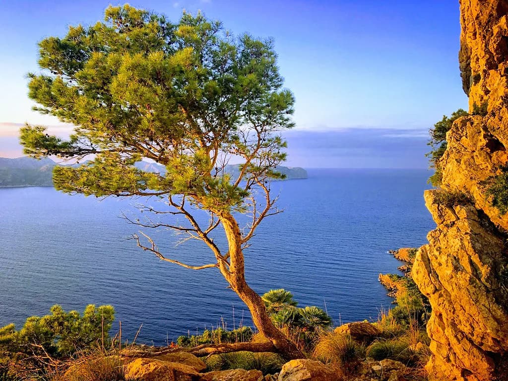 Best Time to Visit Mallorca: Month by Month, April to June