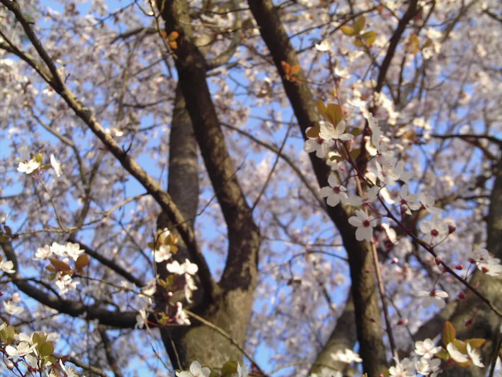 Things to Do in Bologna in April: Porticoes & Food