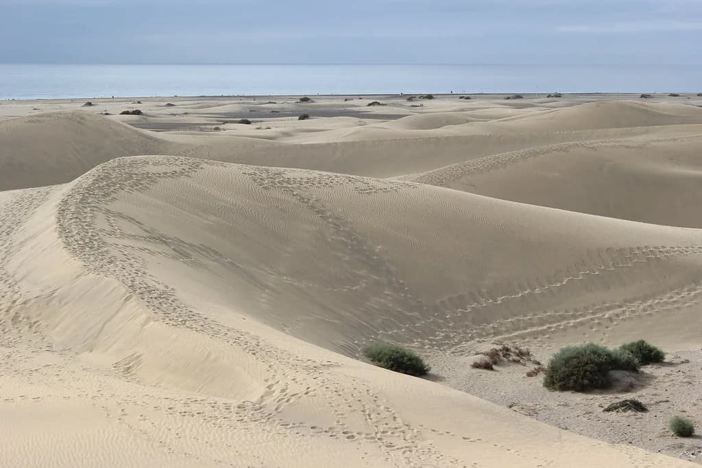 Things to Do in Gran Canaria in April: 14 Best Ideas