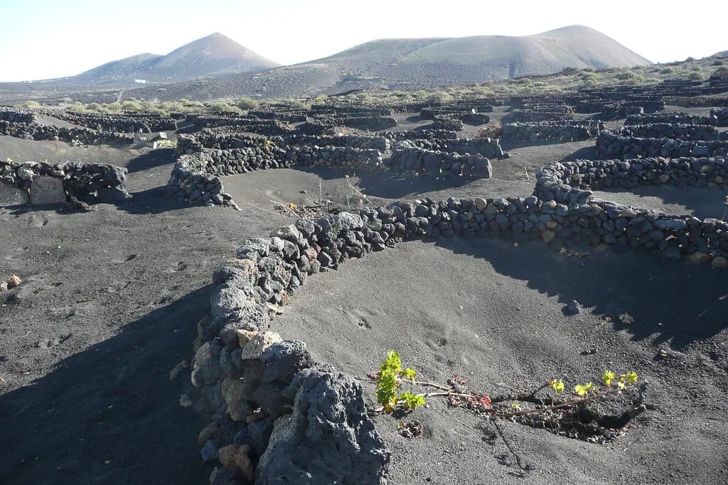Lanzarote in May: Is a Spring Trip Right for You?