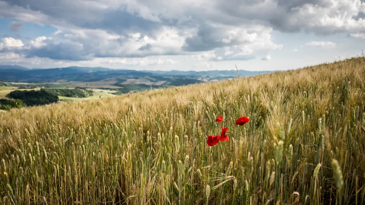 Tuscany in Spring: When to Go and What to Expect