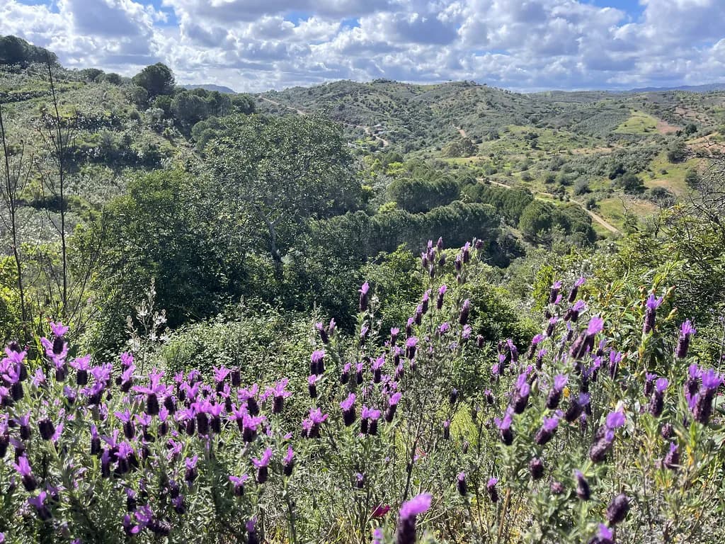 Algarve in Spring: March to June Weather and What's Open