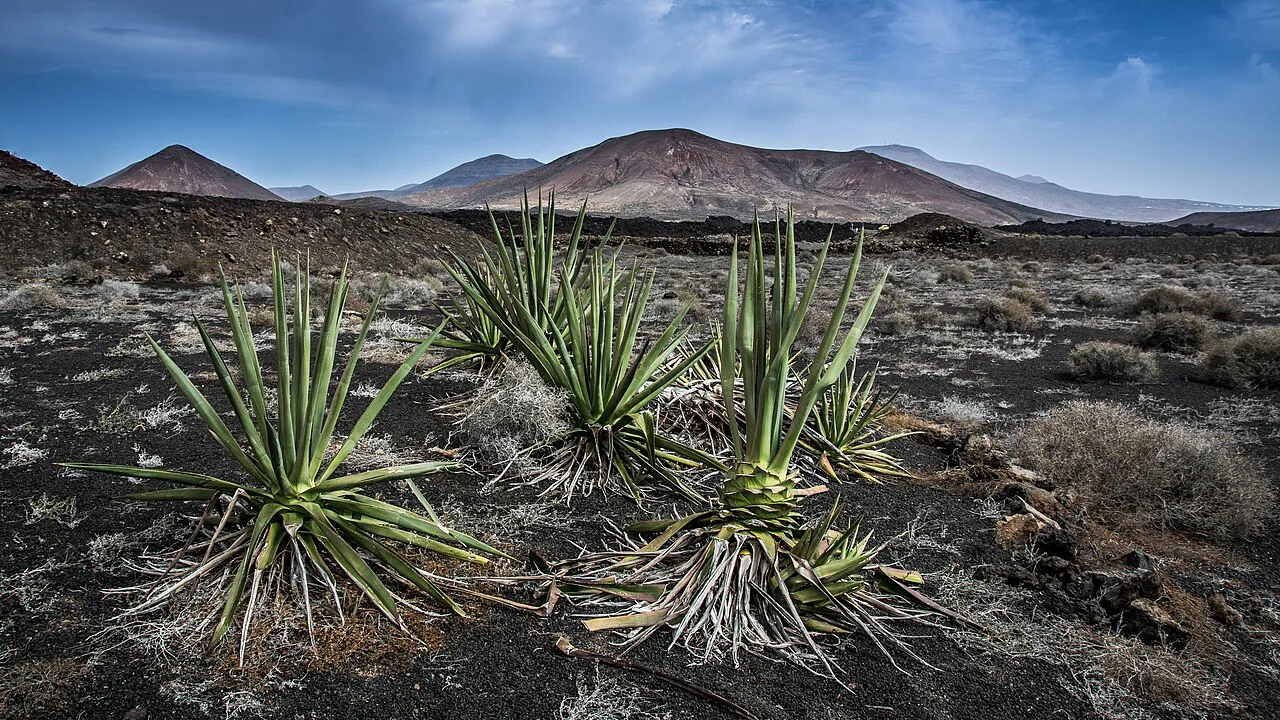 Lanzarote Landscape, Canary Islands