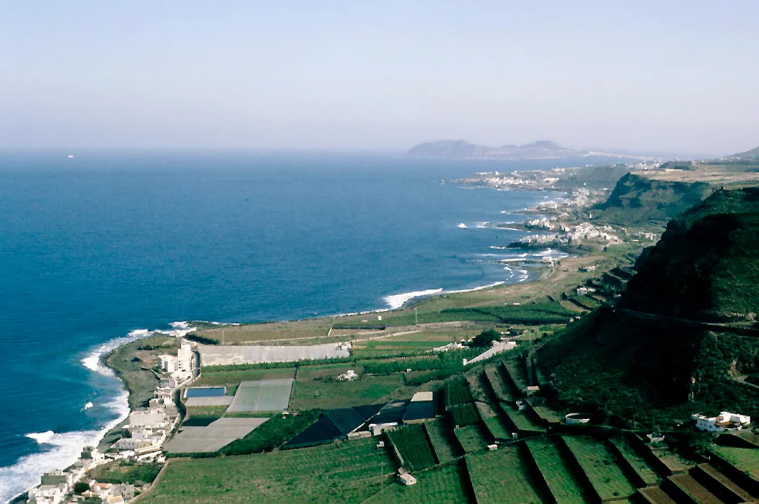 Moya (Gran Canaria)