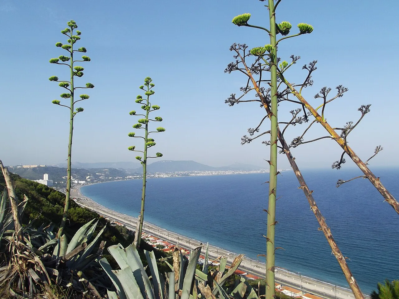 A view down the west coast of Rhodes from Monte Smith