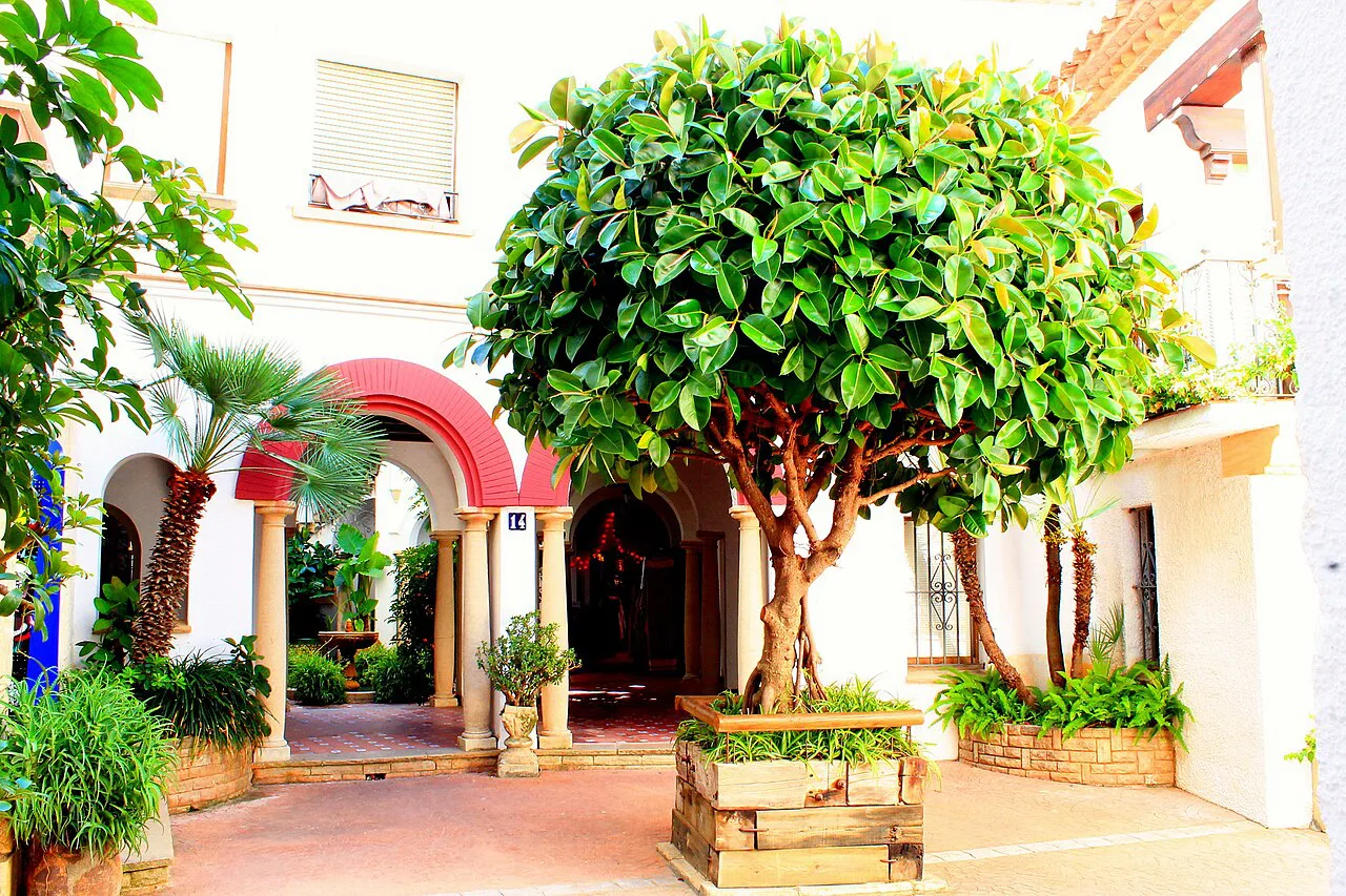 Andalusian Patios, Spain