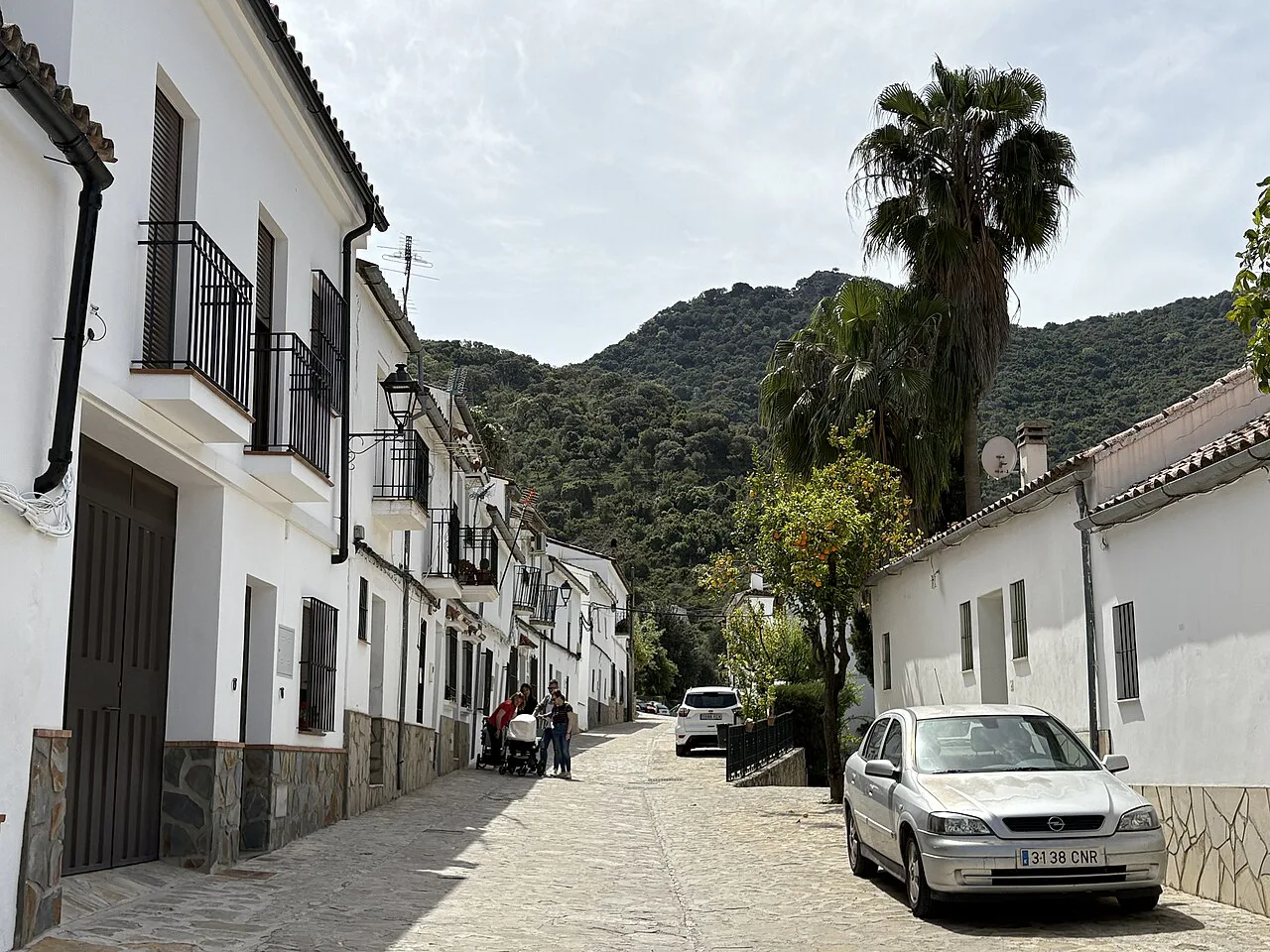 Spain, Andalusia, Benamahoma, Calle Real